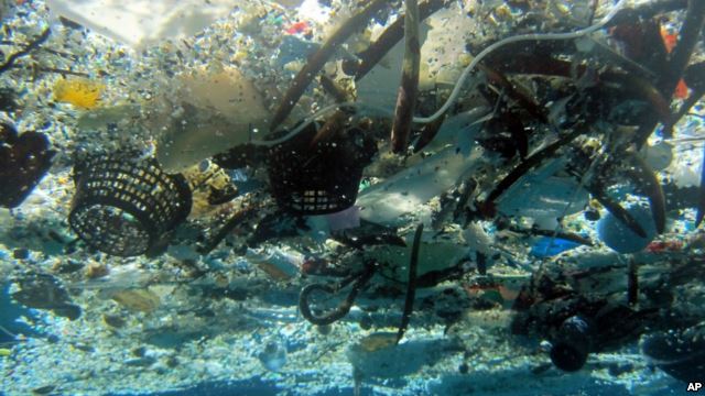 VOA慢速英语:塑料对海洋环境造成严重危害 - 