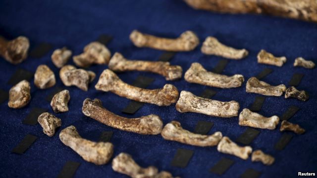 VOA慢速英语:研究人员称找到人类早期祖先化