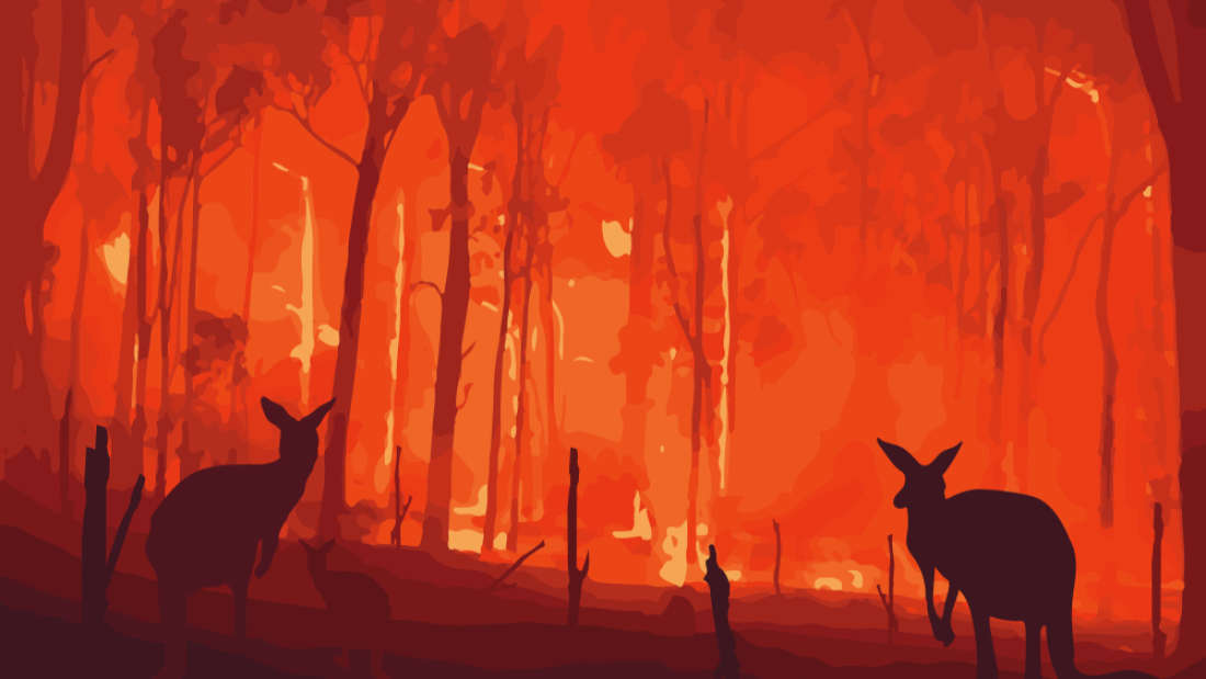 澳大利亚的森林大火摧毁了该国五分之一的森林