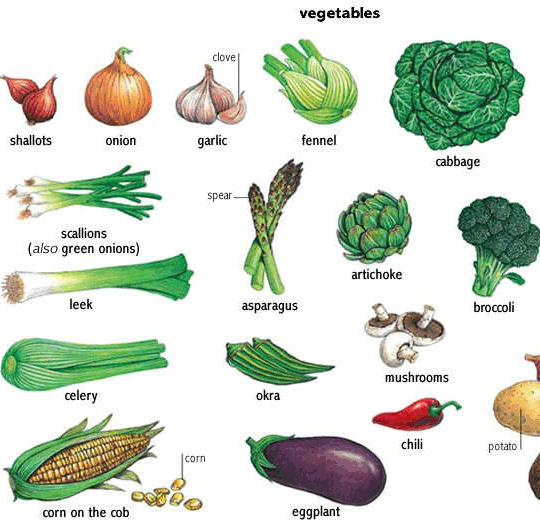 蔬菜英语单词大全有哪些我们常见的单词呢?