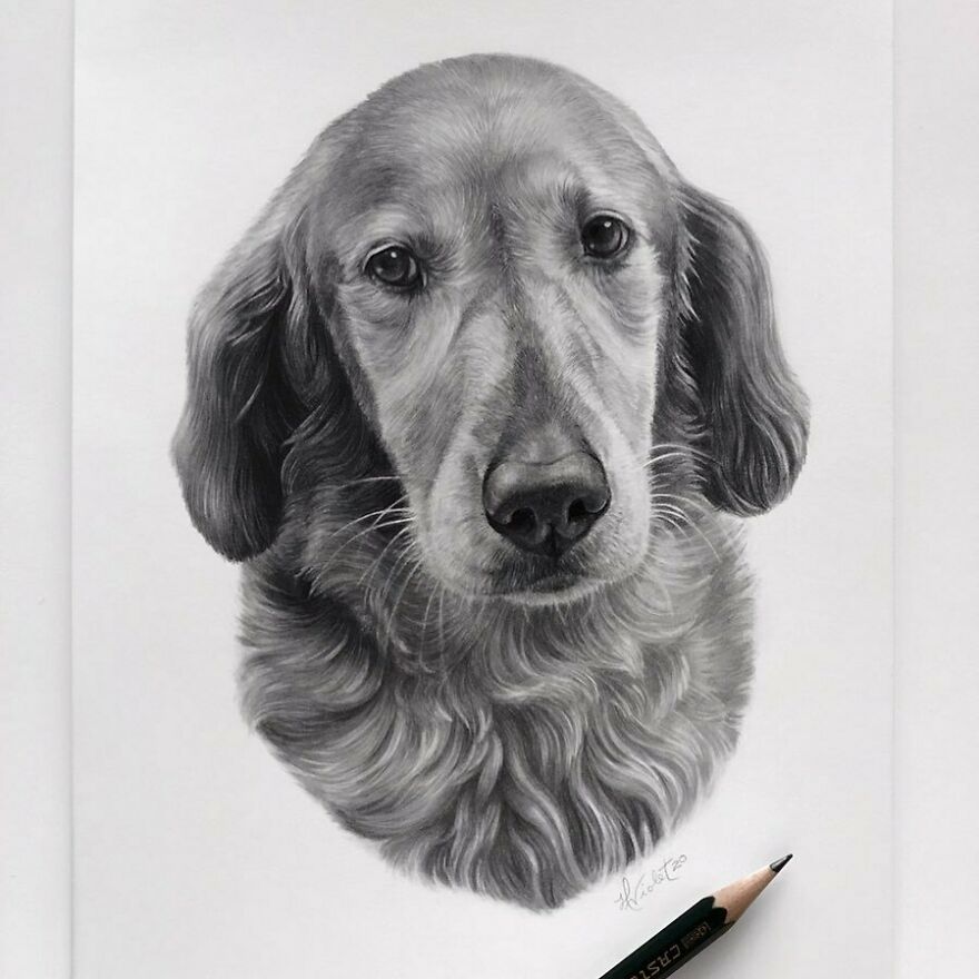 海伦维奥莱特的超现实动物铅笔画