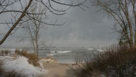A winter storm whips the Indiana Dunes area.