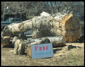 Firewood for free