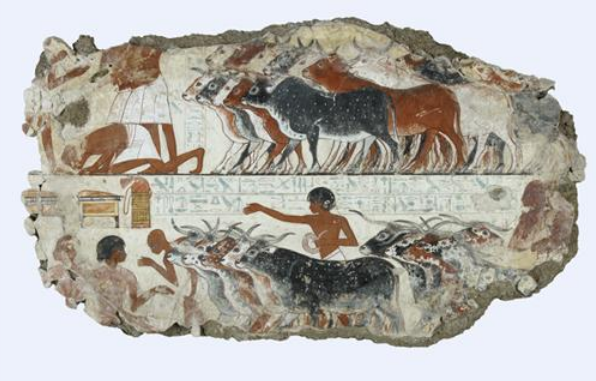 英语听力,世界历史,英语听力节目,100件藏品中的世界史,Egyptian Painted Pottery Cattle