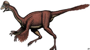 Scientists Identify Remains of Bird-Like Dinosaur in North America