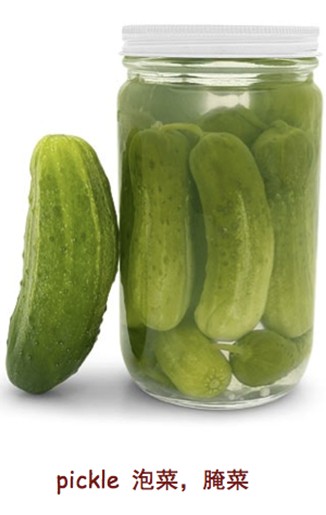 pickle 泡菜，腌菜