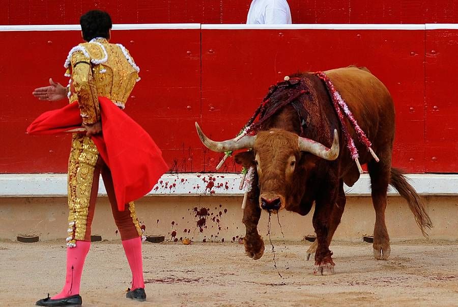 西班牙奔牛节 San Fermín