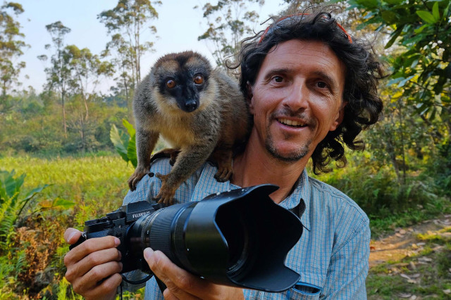 摄影师抓拍到流氓狐猴试图抓走他的相机