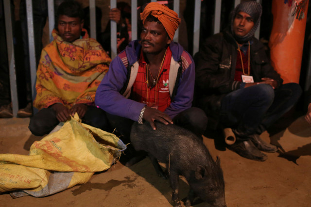 尼泊尔的动物祭祀节被称为“世界上最血腥的节日”，在“禁令”被忽视后举行
