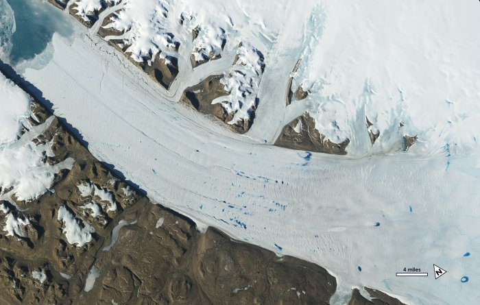 新的图像揭示了阿拉斯加冰川的急剧收缩