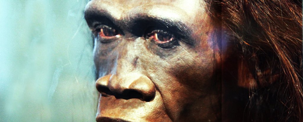 新的证据表明，这些人类祖先在11.7万年前神秘死亡