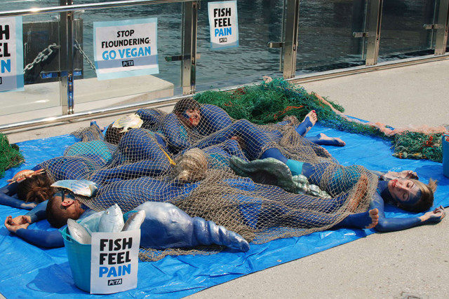 “善待动物组织”成员抗议海鲜市场“死鱼”