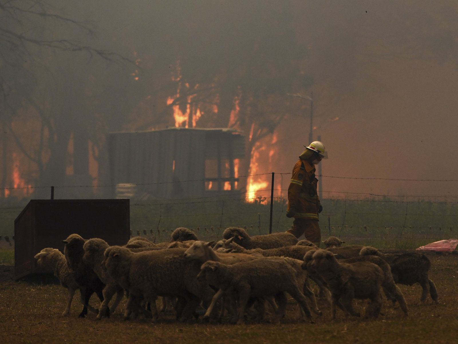 “灾难性”的野火继续在澳大利亚肆虐