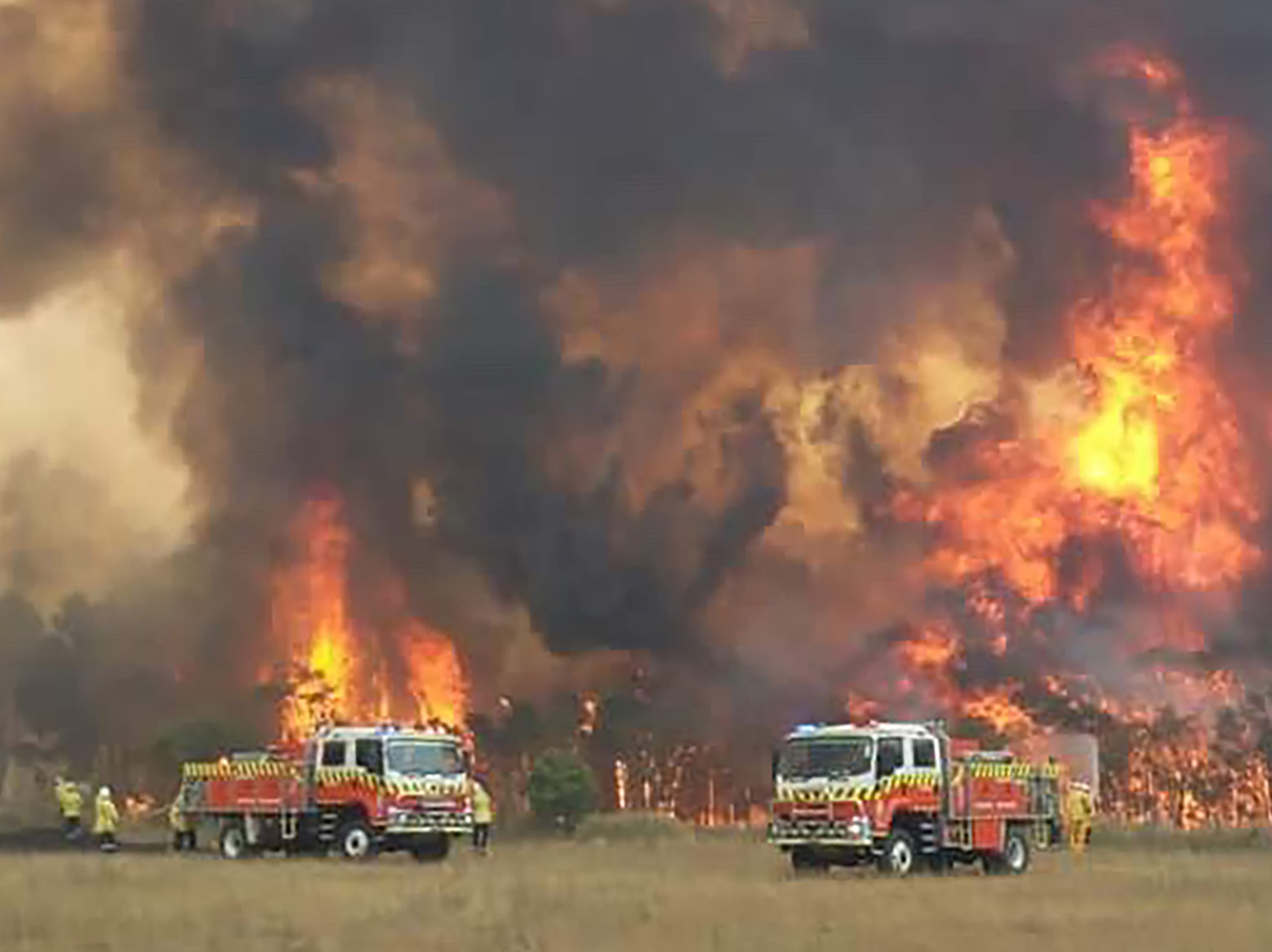 “到处都是红色”:澳大利亚的大火困住了海滩上的居民