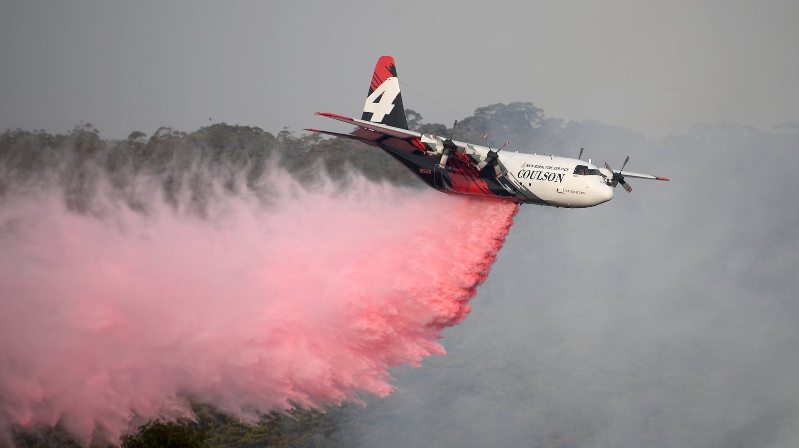 澳大利亚的“大火”吞噬了150万英亩土地