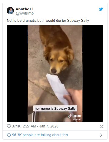 绰号“地铁莎莉”的流浪狗，每天晚上都会到当地的地铁里觅食