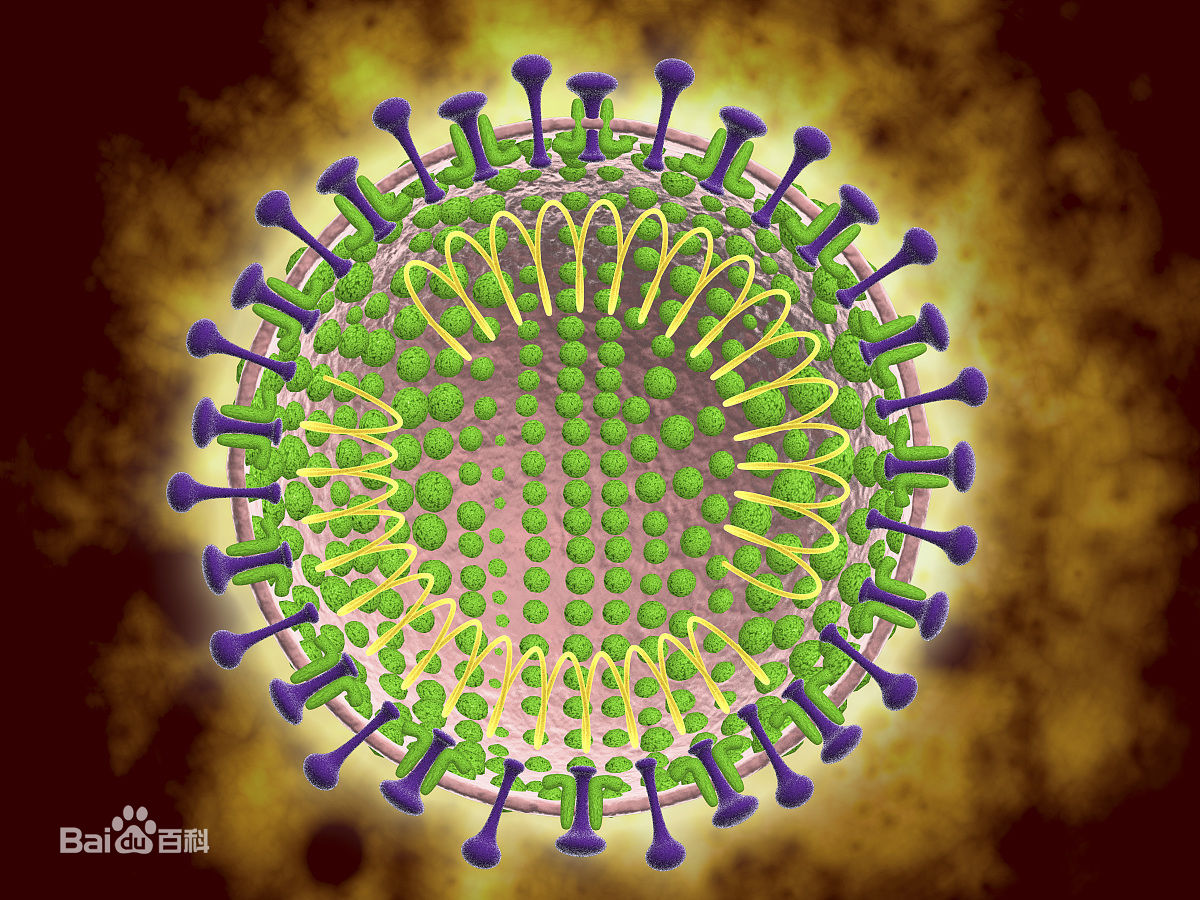 冠状病毒最新进展：在不断演变的疫情中有什么新东西