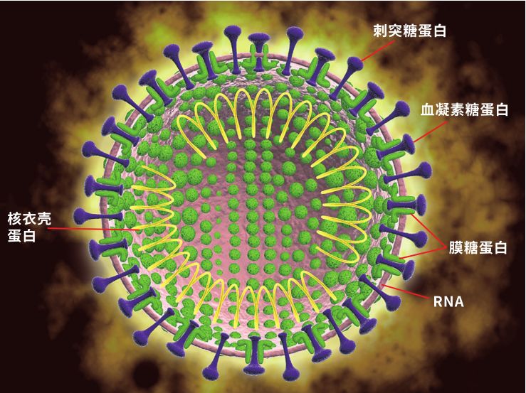 据报道，中国共有1000多人死于冠状病毒