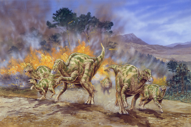 在6600万年前的恐龙化石中也发现了癌症