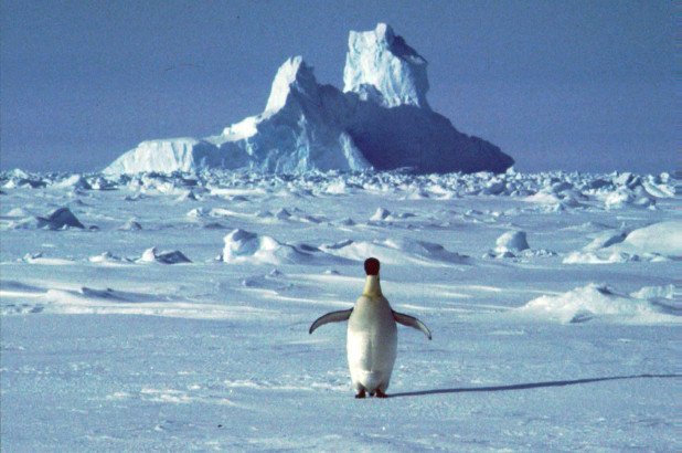联合国表示，核查南极洲的高温记录将需要数月时间