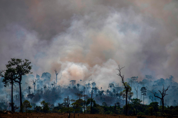 亚马逊雨林可能会开始排放碳而不是吸收碳