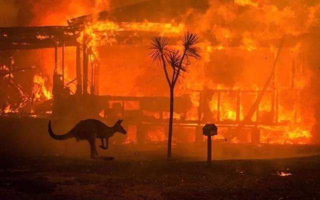 类似澳大利亚的野火，在未来或许会成为一种“常态”
