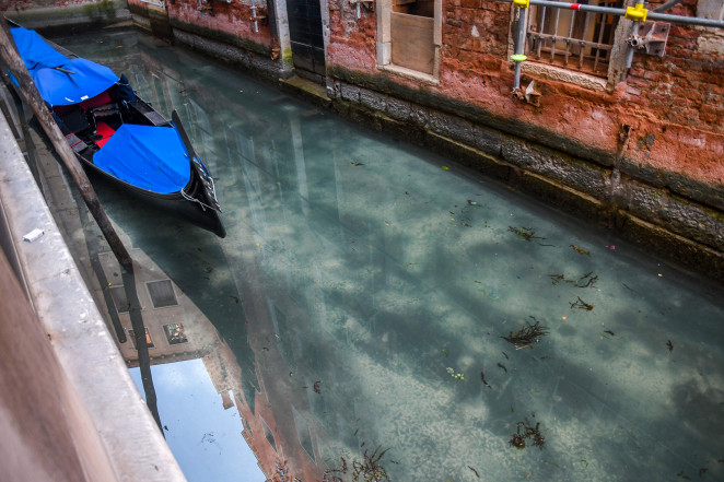 意大利因冠状病毒封锁后，威尼斯运河清澈见底