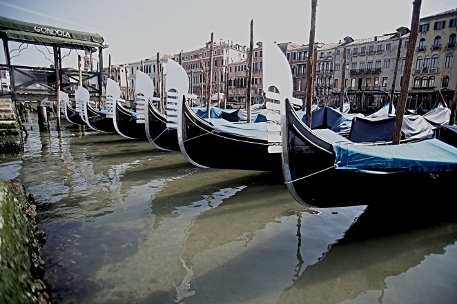 意大利因冠状病毒封锁后，威尼斯运河清澈见底