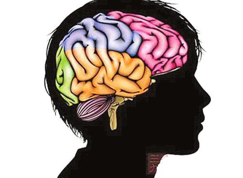 患有多动症的人有着不同的大脑?