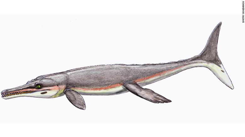 古代致命的鳄鱼模仿鲸鱼统治海洋