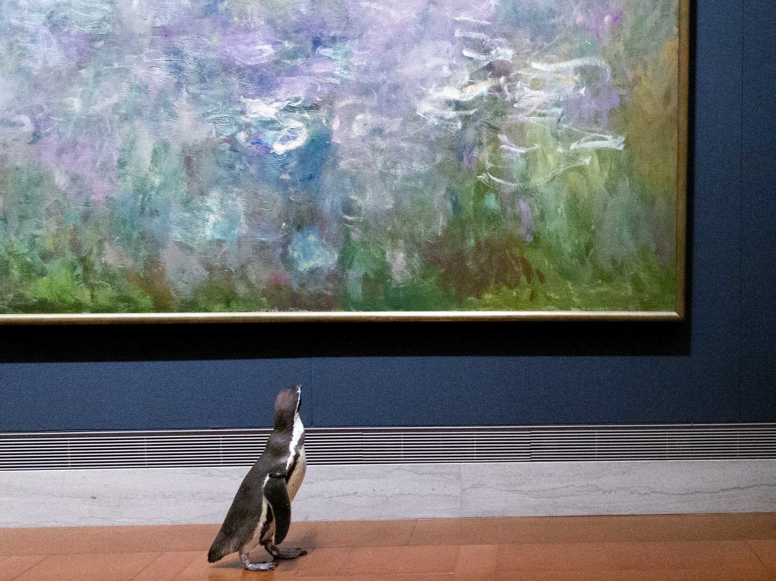 密苏里企鹅在当地博物馆享受“艺术之晨”