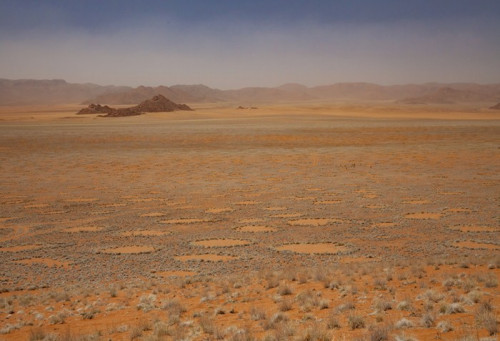 纳米布沙漠仙女圈图片