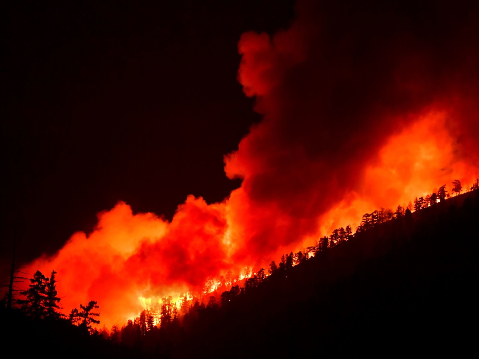 在加州，多风、干燥的天气预计将带来“严重”的火灾情况